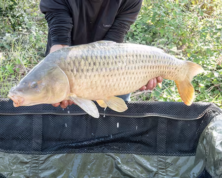 20211016-09h57m40s-20211016-09h57m40s-20211016-09h57m40s-XLA01782-V3-V3-V3