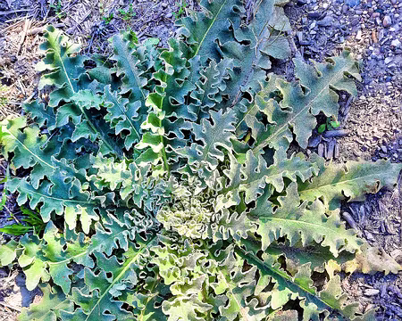 20211016-11h14m41s-20211016-11h14m41s-20211016-11h14m41s-20211016_111440-V3-V3-V3