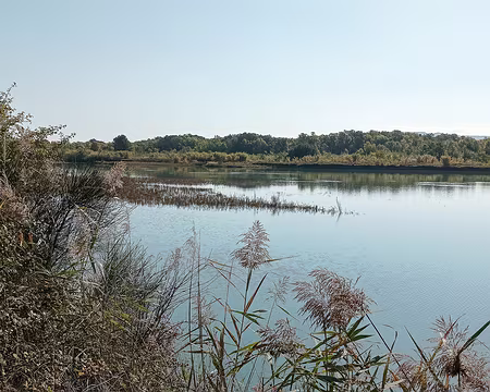 20211016-11h23m09s-20211016-11h23m09s-20211016-11h23m09s-IMG_20211016_112307-V3-V3-V3