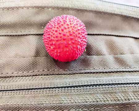 20211016-15h07m41s-20211016-15h07m41s-20211016-15h07m41s-IMG_20211016_150739-V3-V3-V3