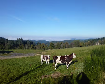 P1140282 Montagnes du Forez (alt. 1150 m.)