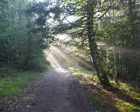 P015 GR3 au sud de ND de l’Hermitage