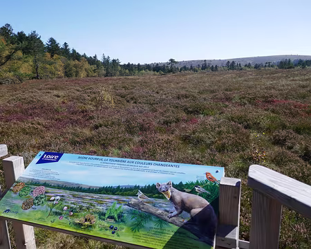 P042 Tourbière au sud du col de la Loge