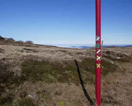 P100 Décidemment, il ne faut pas aller par là !
