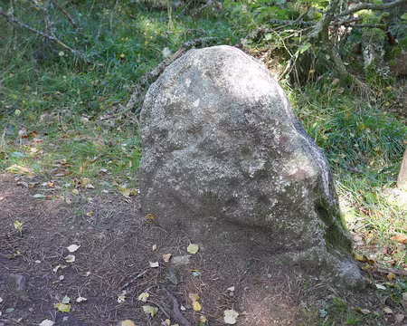 P155 La Borne aux sept trous