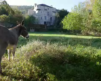 P240 Le château de Retournaguet et son âne
