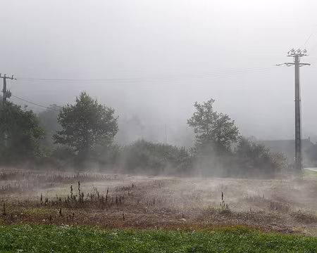 P250 Fraîcheur du petit matin