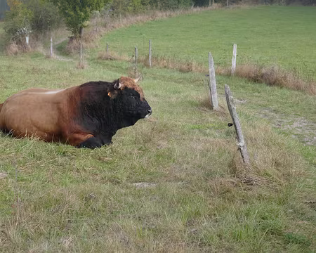P255 On est prié de ne pas déranger…