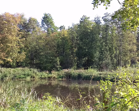 024 Le petit étang près du château