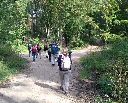 031 Le chemin du retour