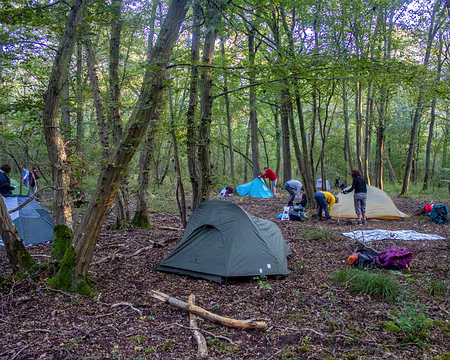 15-IMG_1344 Bivouac dans la forêt de l'Isla Adam