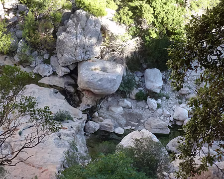 DSC09462 Fond du canyon