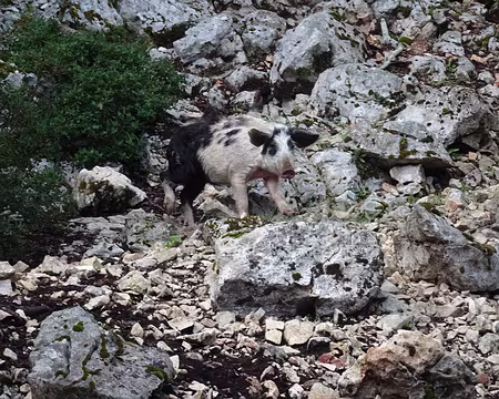 DSC09568 De la visite