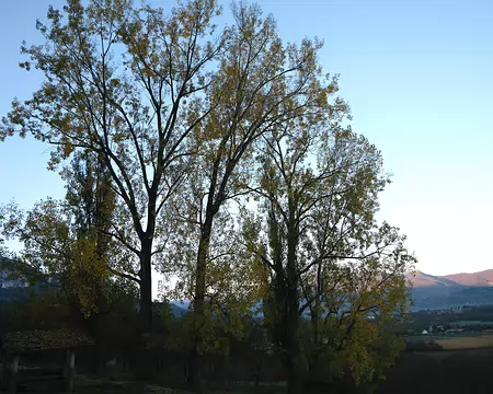 20211025-08h36m36s-8-V3