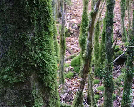 20211025-10h15m26s-9-V3