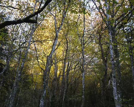 20211025-10h17m57s-10-V3