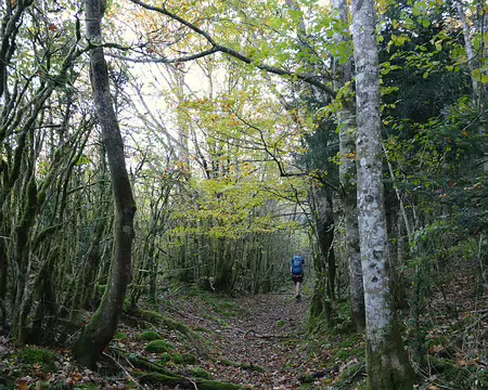 20211025-10h18m07s-11-V3