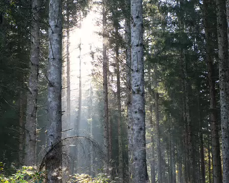 20211025-10h31m45s-12-V3