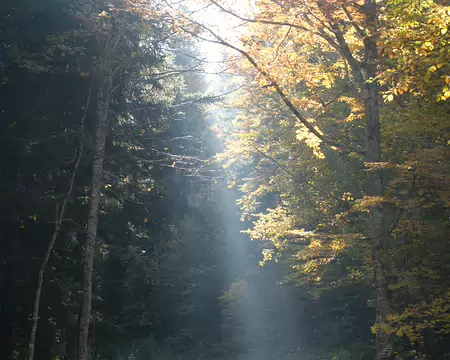 20211025-10h41m57s-14-V3