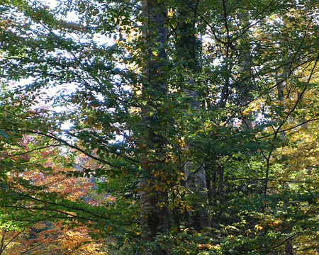 20211025-11h02m27s-15-V3