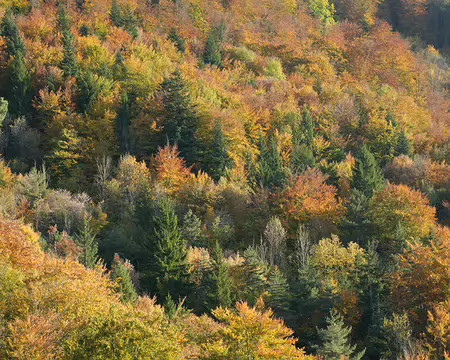 20211025-17h07m35s-18-V3