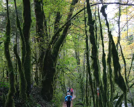 20211026-09h30m37s-24-V3