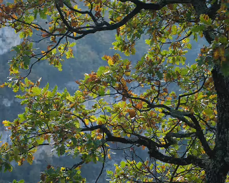 20211026-11h20m18s-29-V3