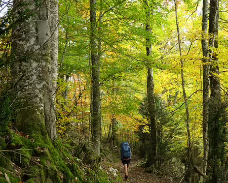 20211026-14h02m12s-31-V3