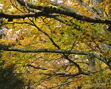 20211026-14h10m04s-33-V3