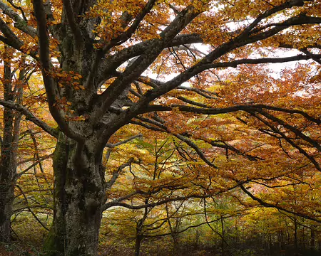 20211026-14h38m56s-35-V3