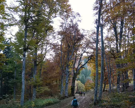 20211027-09h20m50s-38-V3