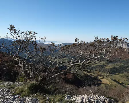 20211027-10h43m01s-42-V3