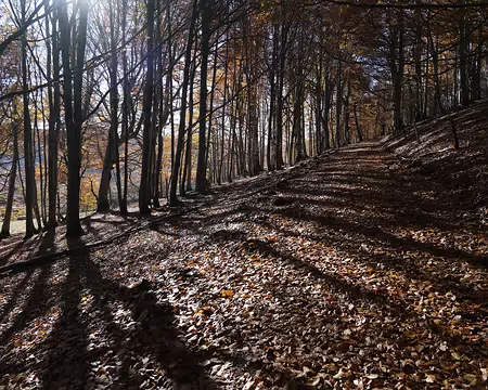 20211027-11h10m45s-43-V3