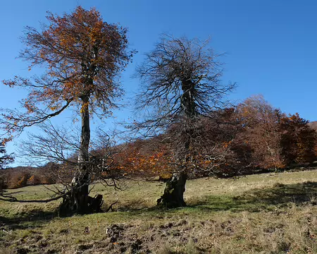 20211027-11h21m29s-44-V3