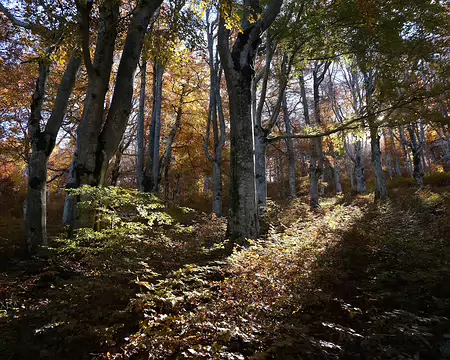 20211027-11h31m42s-45-V3