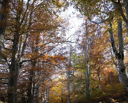 20211027-11h31m52s-46-V3