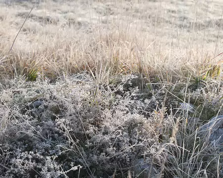 20211028-09h21m09s-59-V3