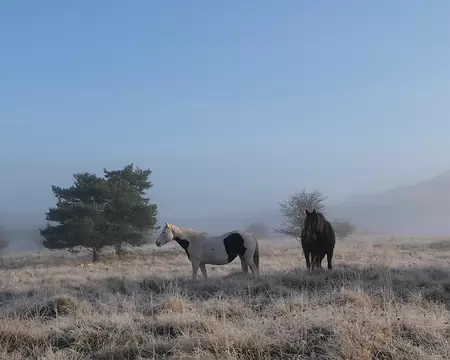 20211028-09h27m36s-63-V3