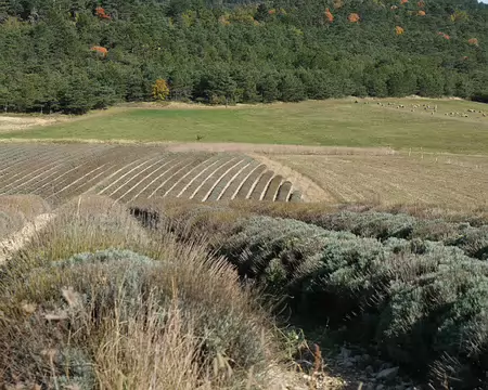 20211028-15h06m34s-69-V3