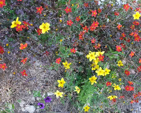 20211029-17h07m36s-79-V3