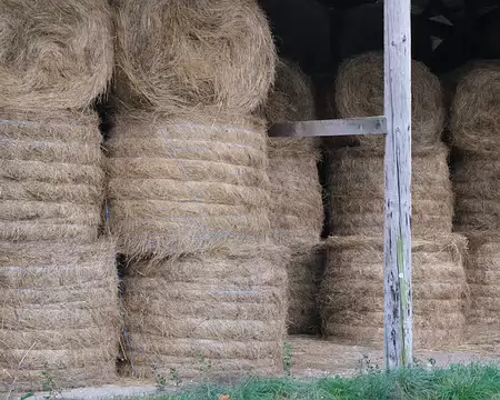 20211029-17h19m10s-82-V3