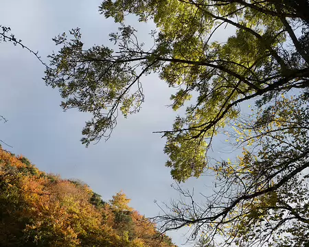 20211029-17h32m12s-84-V3