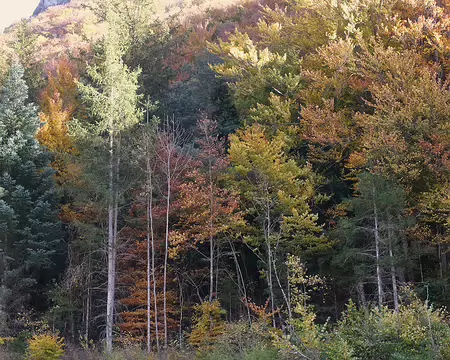 20211029-17h33m08s-86-V3