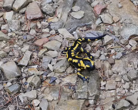 20211030-10h06m46s-90-V3