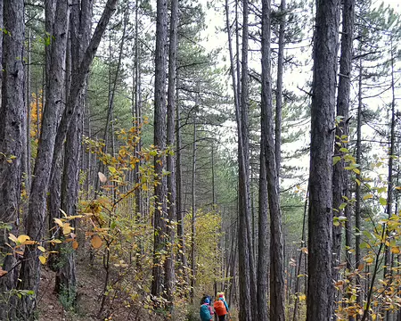 20211030-12h27m06s-93-V3