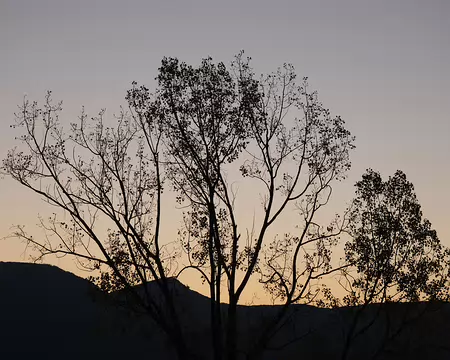 006_DSCF1203