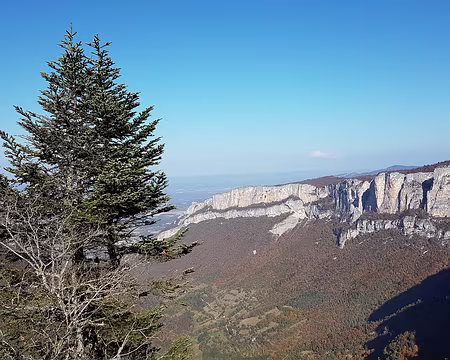 20211025-12h23m35s-20211025_122336-V3