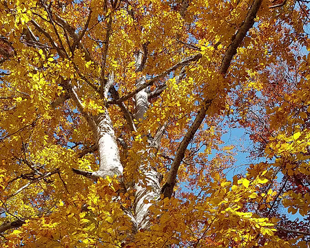 20211025-13h49m56s-20211025_134956-V3