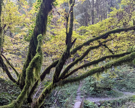 20211026-09h24m37s-PXL_20211026_072437127-V3