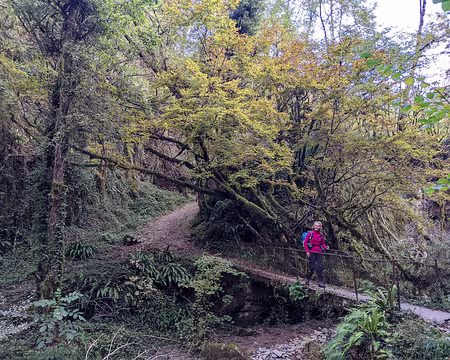 20211026-09h26m21s-PXL_20211026_072621011-V3